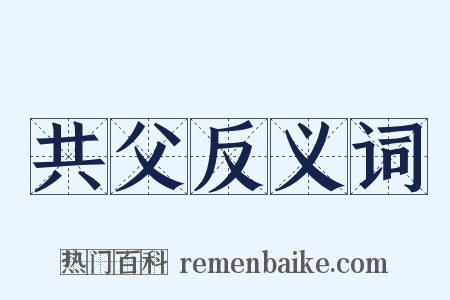 共父反义词是什么意思的图片